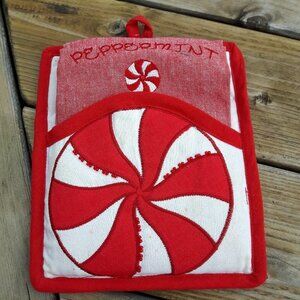 CUTE Peppermint Swirl Dish Towel and Pot Holder